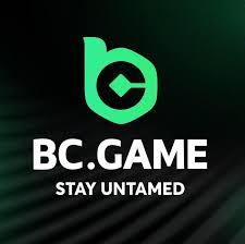Explore the Exciting World of BC.Game Gambling Platform